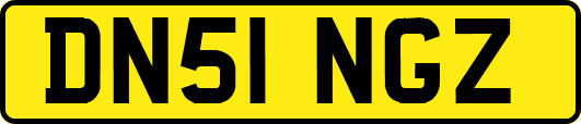 DN51NGZ