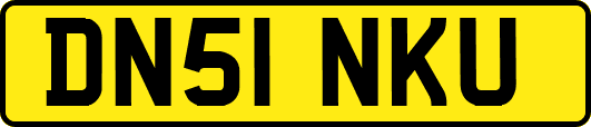 DN51NKU