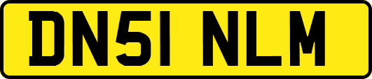DN51NLM