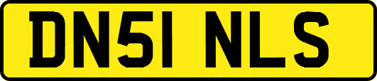 DN51NLS