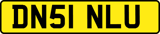 DN51NLU