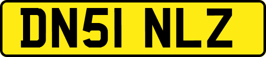 DN51NLZ