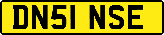 DN51NSE