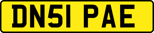 DN51PAE