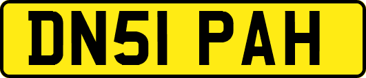 DN51PAH
