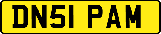 DN51PAM