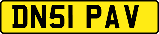 DN51PAV