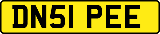 DN51PEE