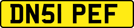 DN51PEF