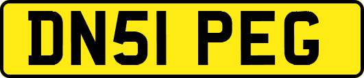 DN51PEG