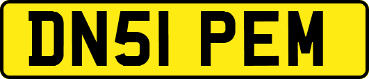 DN51PEM