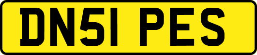 DN51PES