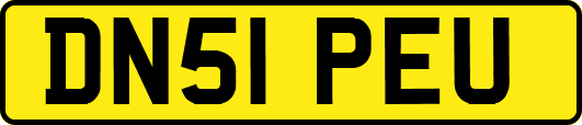 DN51PEU