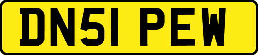 DN51PEW