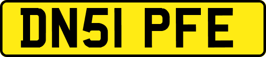DN51PFE