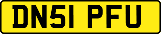 DN51PFU