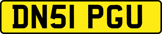 DN51PGU