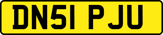 DN51PJU