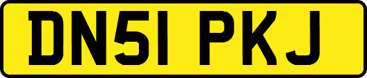 DN51PKJ