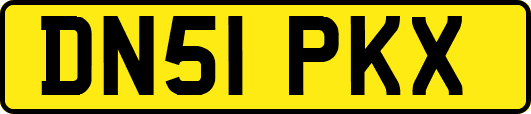 DN51PKX