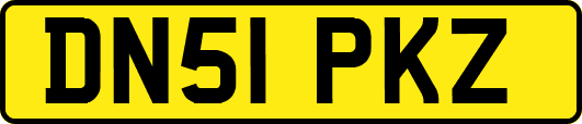 DN51PKZ
