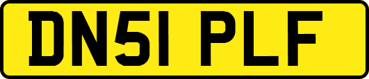 DN51PLF