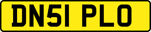 DN51PLO