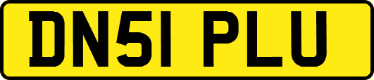 DN51PLU
