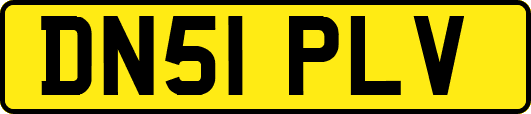 DN51PLV