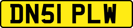 DN51PLW