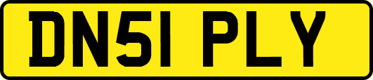 DN51PLY