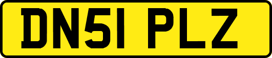 DN51PLZ