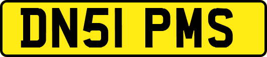 DN51PMS