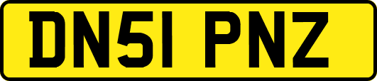 DN51PNZ