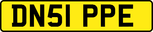 DN51PPE