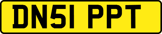 DN51PPT