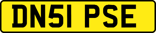 DN51PSE