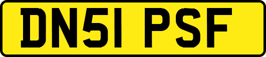 DN51PSF