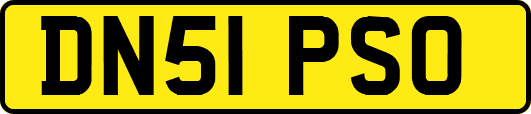 DN51PSO