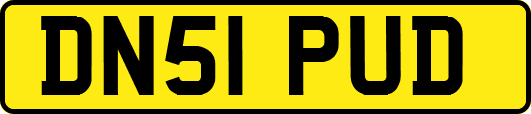 DN51PUD