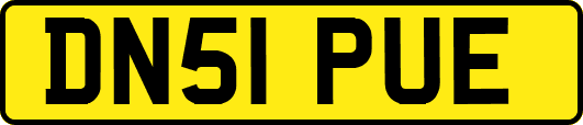 DN51PUE