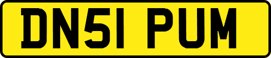 DN51PUM