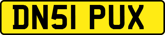 DN51PUX