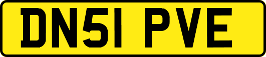 DN51PVE