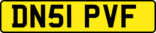 DN51PVF