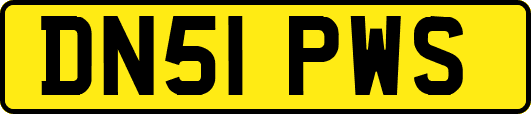 DN51PWS