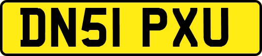 DN51PXU