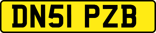 DN51PZB