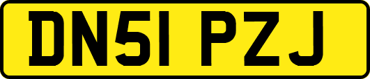 DN51PZJ