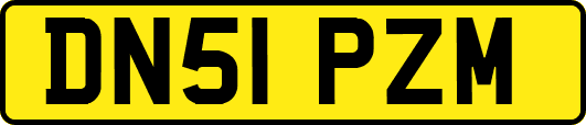 DN51PZM